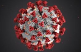 Free resources on Coronavirus (COVID−19) and distance learning
