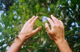 Discover the European Citizen Science Platform